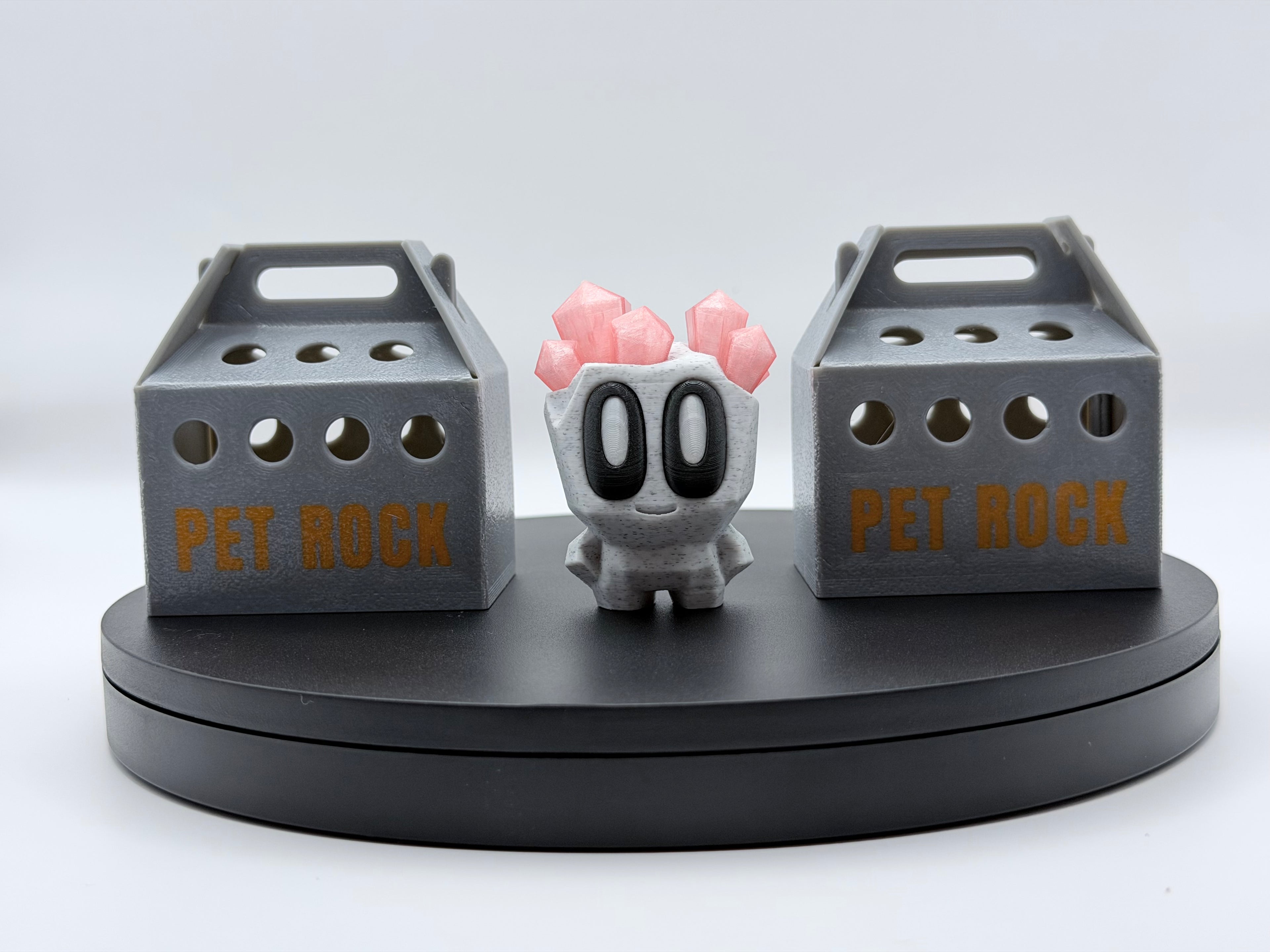 Pet Rocks & A Box